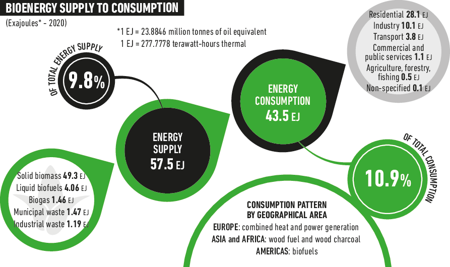 Bioenergy Supply