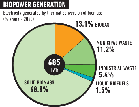 Enelectricity Generation Mix Bioenergies image
