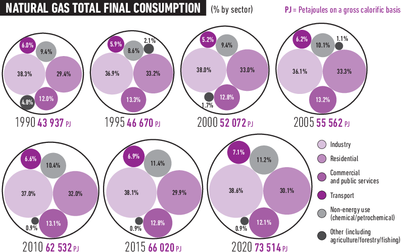 Natural Gas Total Final Consumption
